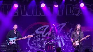 The Winery Dogs – Mad World, Live In Germany, 03.11.2023.