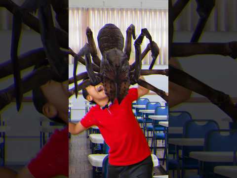 Vídeo: 3 maneiras de matar aranhas quando você tem aracnofobia