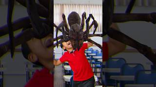 QUANDO VC TEM MEDO DE ARANHA #aracnofobia