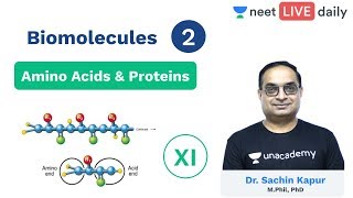 Biomolecules - Lecture 2 | Amino Acids 