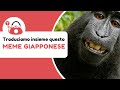Traduciamo insieme questo "meme" giapponese 🇯🇵 Questo fa davvero ridere.