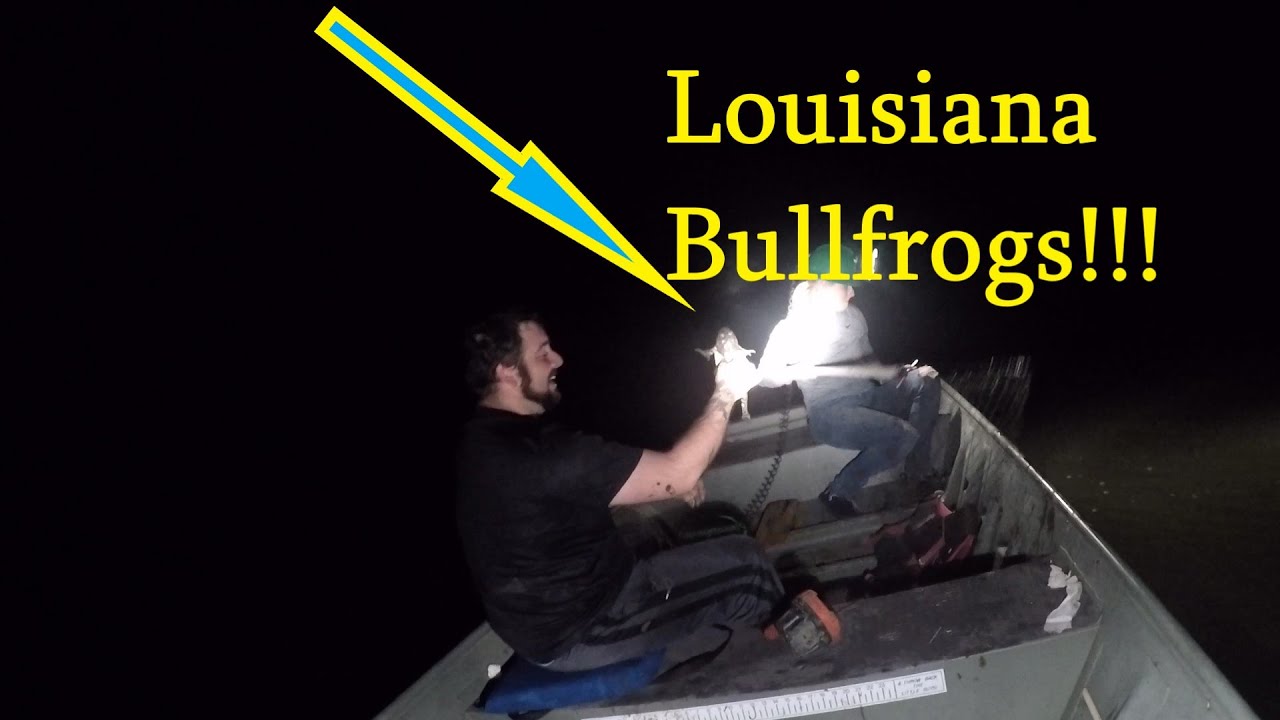 Louisiana Summer Frogging Trip Frogging in the Louisiana Swamp YouTube