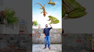 Vehicles & Insects Vs Rasola, Samosa, Icecream & Momos - Funny Vfx Magic
