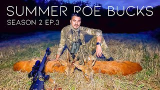 2 Quality Roe Bucks In the Same Evening  Season 2 Episode 3