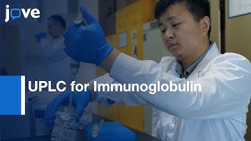 UPLC for Immunoglobulin G N-Glycan Analysis | Protocol Preview