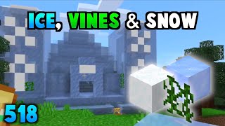 The Ice, Vines & Snow Temple (518)