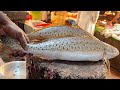 Big Poa Fish Cutting In Fish Market | Amazing Cutting Skills Bangladesh