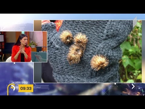 #ახალიდღე ბუნებისგან შთაგონებული მეცნიერული მიღწევები, - რუბრიკა #მეცნიერება