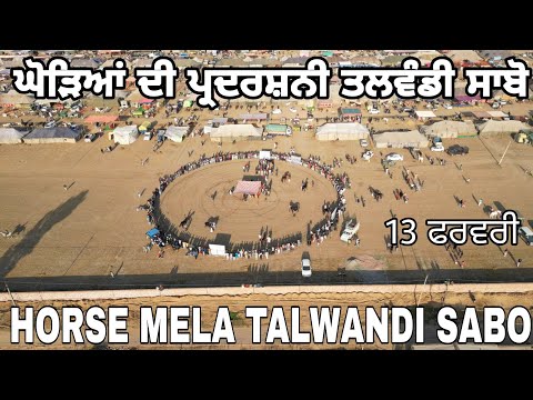 ਘੋੜਿਆਂ ਦੀ ਪ੍ਰਦਰਸ਼ਨੀ ਤਲਵੰਡੀ ਸਾਬੋ • 13 ਫਰਵਰੀ • Horse Mela Talwandi Sabo