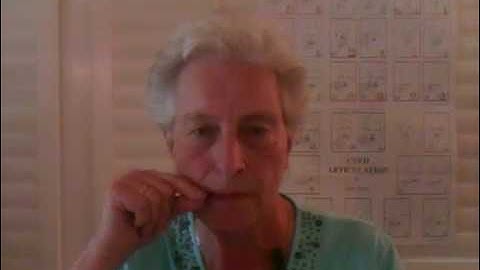 Jane Passy Cued Articulation