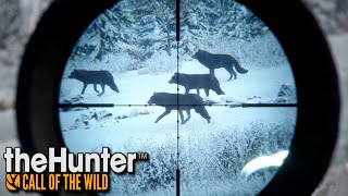 Atak wilków | theHunter: Call of the Wild (#57) screenshot 1