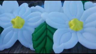 GELİNYOLU ŞİŞME ÇİÇEK İLETİŞİM 05056653617