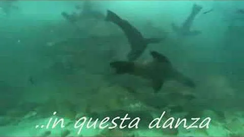 In che cosa consiste il bello della vita?