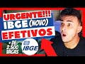 Urgente! Novo Concurso IBGE para Cargos Efetivos, Mais de 2.500 Vagas pedidas pelo IBGE !!!