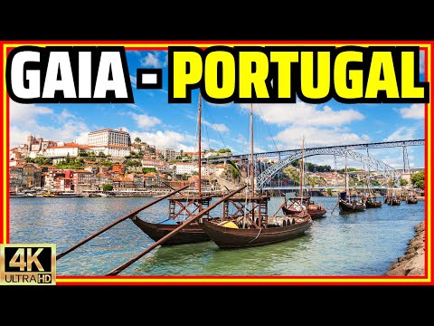 Video: Vila Nova de Gaia - Portwynproe en toere