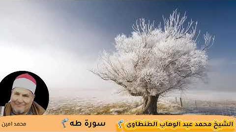 من الروائـــــــــع التاريخية 🦿 سورة طه  الشيخ محمد عبد الوهاب الطنطاوى رحمه الله
