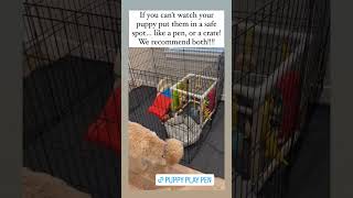 Puppy Safe Space when you need a break! We recommend crate training and a play pen.