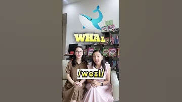 Yêu thích ""hải sản"" nhưng bạn đã biết gọi tên của chúng?