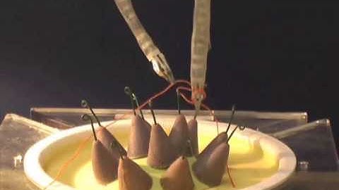 robotic tying knot