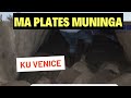 VENICE UPDATE Tawana Ma Plates Aishandiswa Kudyiswa Mwana Ari Mubako