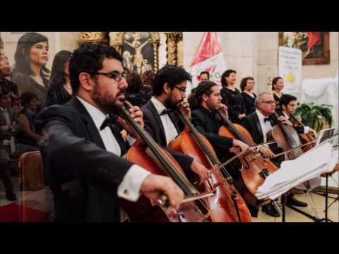 Ricardo Venegas Orquesta de Cámara y Coros
