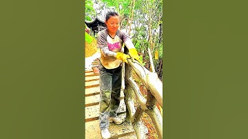 The Art of Carving Tree Trunks from Concrete: This Woman Has Golden Hands!