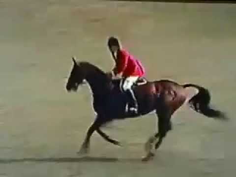 Michael Matz and Jet Run   1980s Showjumping