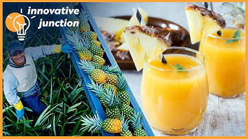 Modern Food Processing Technology with Cool Automatic Machines That Are At Another Level Part 1