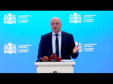 ეს უბედური შემთხვევაა,  ნუ დავაკავშირებთ ამას დევნილების პრობლემასთან- ჯანდაცვის მინისტრი