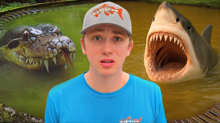 Every Monster i Found in 2024