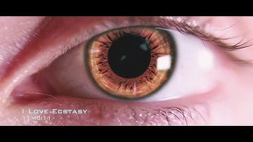 11Moi11 - I Love Ecstasy (Audio Visualizer)