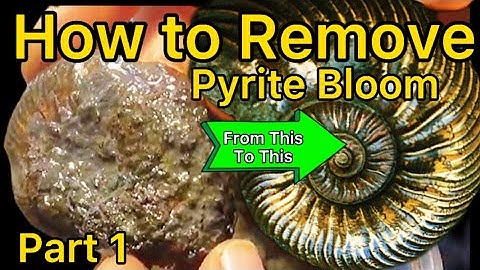 How to Prep Pyrite Ammonites (Dremel 290) Part 1 of 4