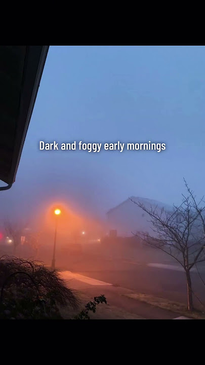 Timea when life hits different💖💖🌆 #aesthetic #aestheic #vibes #shortsviral #life #dream