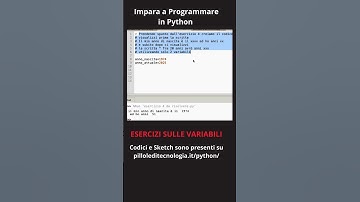Python da Zero: Padroneggia le Variabili con esercizi svolti