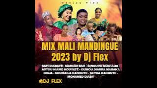 MIX MALI MANDINGUE 2023 BY DJ FLEX(SAFI DIABATÉ-MARIAM BA-ASTOU NIAMEY-BINGUINI -MOHAMED DIABY-Seyba