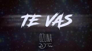 DJ TAO - TE VAS (OZUNA) REMIX
