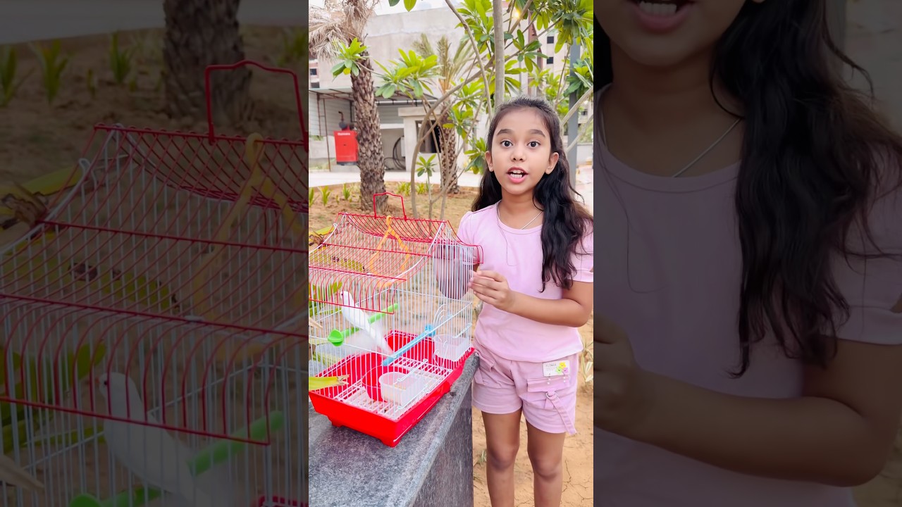 Amaira n chidiya uda di #shorts #thegeetagurjar