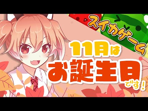 11月といえば…お誕生日の秋なんですけど知ってました！？【Vtuber/古月アイル】スイカゲーム/雑談