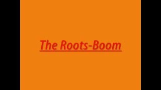 Video Boom The Roots