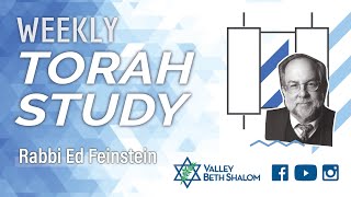 Weekly Torah Study with Rabbi Ed Feinstein - 04/12/24