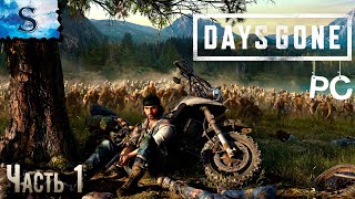 Days Gone полное прохождение ПК ◆ Часть 1 ◆ Жизнь после ◆ walkthrough