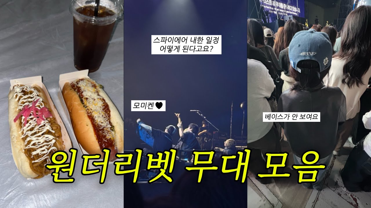 내가 본 원더리벳 3일차 무대 모음 | 한로로 이승윤 스파이에어 | 2025 Wonderlivet Festival