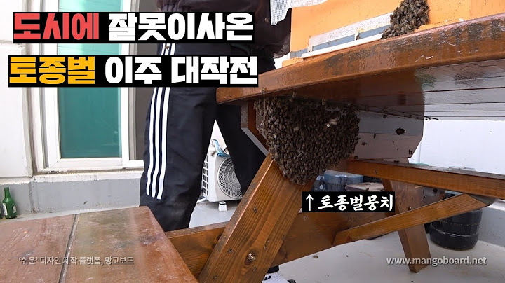 구독자 집에 이사온 토종벌들 양봉장으로 데리고오기