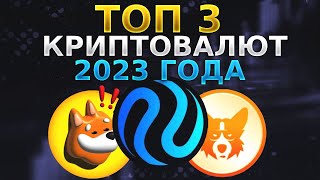 Какие Криптовалюты Были Лучшими в 2023 Году | Что Ждать от Рынка в 2024