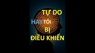 “Người quan sát” và ảo giác về cái tôi