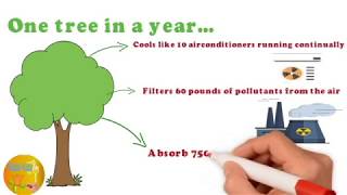 drawing tutorial save trees | dont cut trees ||easy drawing || for kids and toddlers