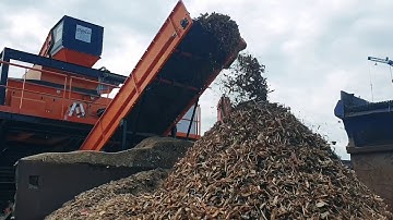 Doppstadt CERON Type 306 & Splitter Unit 425 processing waste wood