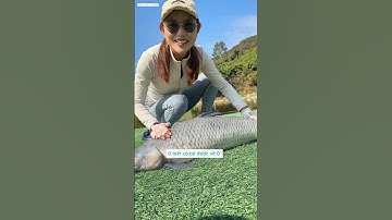 gái xinh đi câu trắm đen hồ dịch vụ gặp anh chủ hồ khó tính và cái kết đắng cho anh chủ hồ  #fishing