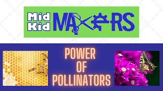 Mid Kid Makers : Power of Pollinators