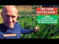 Premier tour du potager  cultures et gestion du paillage en dbut de saison